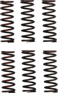 PRO CIRCUIT CLUTCH SPRING CRF450R