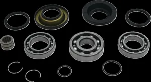 MOOSE OFFROAD HARD-PARTS DIFFERENTIAL BEARING/SEAL KIT REAR HON MSE