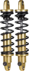 Legend Air Suspension SHOCKS REVO-A 12 FXD 91-17 GOL