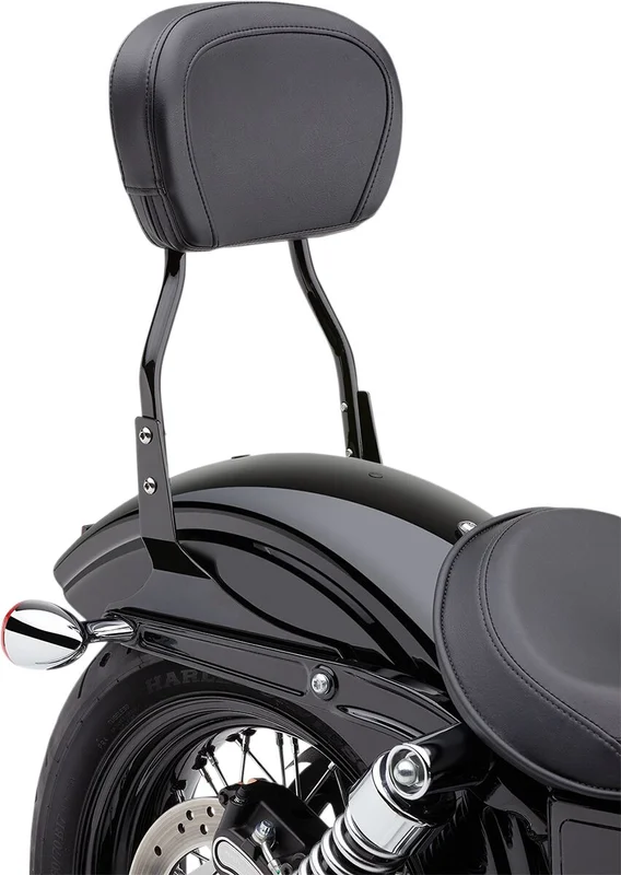 Cobra SISSY BAR RND ST BK STAIL