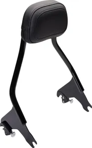 Cobra DTCH BKRST BLK FLH 97-08