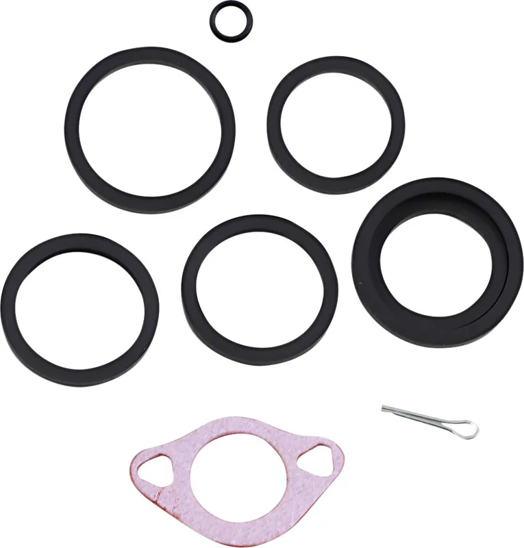 Arlen Ness Ness, 6 piston caliper rebuild kit