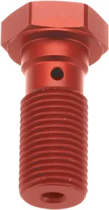 TRW BANJO BOLT M10X1.0 RD