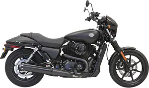 Bassani Xhaust Slip-On Muffler<br><ul><li>4" OD diameter slip-on muffler features 16-gauge steel construction and removable flow-through baffle</li><li>Bolt to stock locations with supplied hardware</li><li>Made in the USA</li></ul><br>Not for use with street rod models.