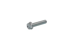 AKRAPOVIC BOLT MOUNTING SCREW