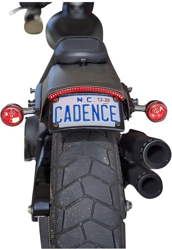 Custom Dynamics TAILLIGHT FOR FAT BOB- RED LEN