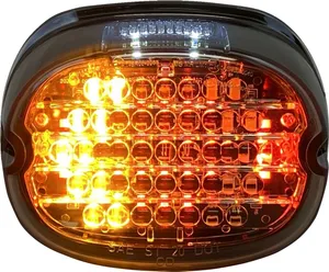 Custom Dynamics INTEGRATED LOW PROFILE TAILLIG