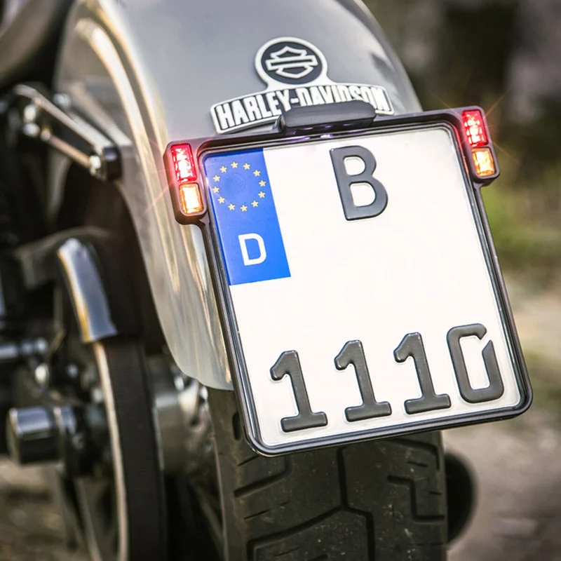 HeinzBikes All-Inn 2.0 license plate bracket with taillight