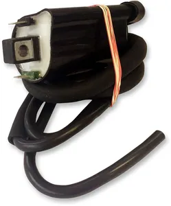 RICK'S MOTORSPORT ELECTRIC COIL IGNITION