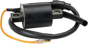 RICK'S MOTORSPORT ELECTRIC COIL IGNITION