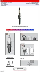 CHAMPION CHAMPION S-PLUG REK6YC