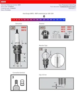 CHAMPION CHAMPION S-PLUG 8809