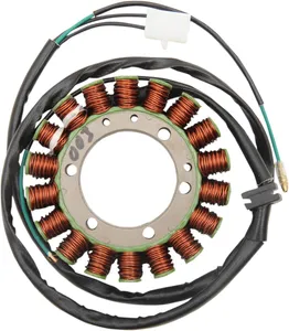 RICK'S MOTORSPORT ELECTRIC STATOR OEM STYLE