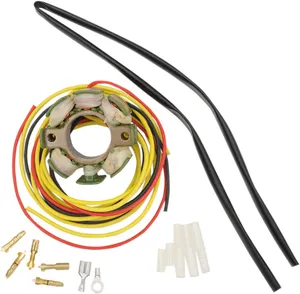 RICK'S MOTORSPORT ELECTRIC STATOR HOT SHOT