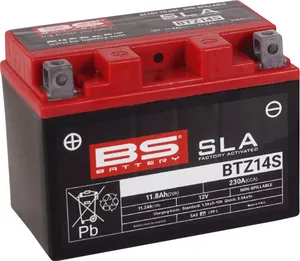 BS BATTERY BATTERY BTZ14S SLA 12V 230 A
