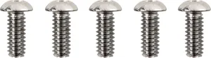 Drag Specialties BOLT KIT M8CLUTCH TORX CH