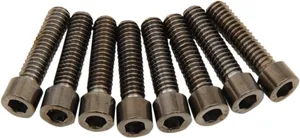 Drag Specialties BOLT KIT M8 LIFTER B/C S