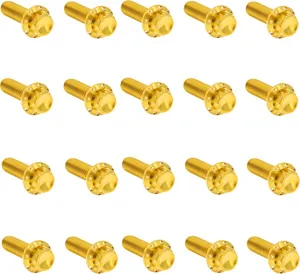 Arlen Ness BOLT KIT TITANIUM - M8 17-UP -