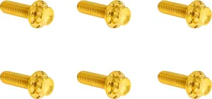 Arlen Ness BOLT KIT TITANIUM - TC&M8 07-2