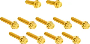 Arlen Ness BOLT KIT TITANIUM - M8 24-25 -