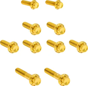 Arlen Ness BOLT KIT TITANIUM - TC 07-17 -