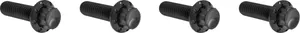 Arlen Ness BOLT KIT TITANIUM - M8 24-25 -