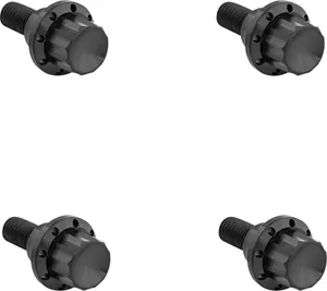 Arlen Ness BOLT KIT TITANIUM - FLTR 23-25