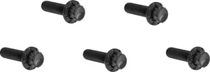 Arlen Ness BOLT KIT TITANIUM - M8 17-UP -
