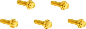 Arlen Ness BOLT KIT TITANIUM - M8 17-UP -