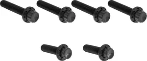 Arlen Ness HARDWARE KIT TITANIUM 12-PNT M