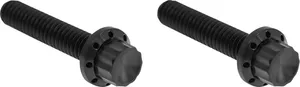 Arlen Ness HARDWARE KIT TITANIUM 12-PNT M