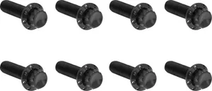 Arlen Ness HARDWARE KIT TITANIUM 12-PNT M
