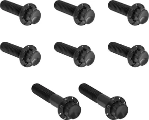 Arlen Ness HARDWARE KIT TITANIUM 12-PNT T