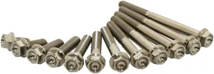 SCAR RACING TITANIUM BOLT M6X30 PACK