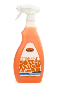 TWIN AIR SPRAY FOAMING POWERWASH