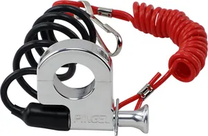 Pingel Tether Kill Switch