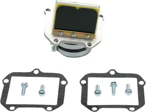 BOYESEN RAD VALVE CARBON FIBER