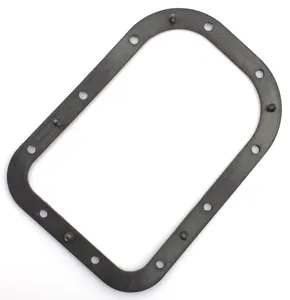 Zodiac (Genuine Zodiac Products) FUEL PUMP DOOR GASKETS
