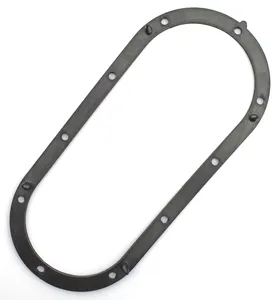 Zodiac (Genuine Zodiac Products) FUEL PUMP DOOR GASKETS
