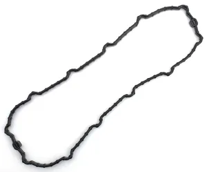 Zodiac (Genuine Zodiac Products) FUEL PUMP DOOR GASKETS