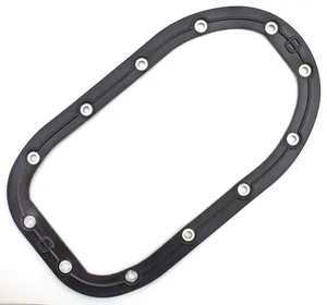 Zodiac (Genuine Zodiac Products) FUEL PUMP DOOR GASKETS