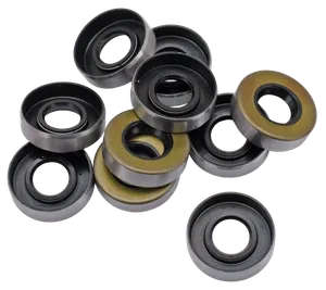 Zodiac (Genuine Zodiac Products) GASKETS, O-RINGS AND SEALS FOR ALUMINUM PRIMARY ON 4 SPEED BIG TWIN 1965-1986