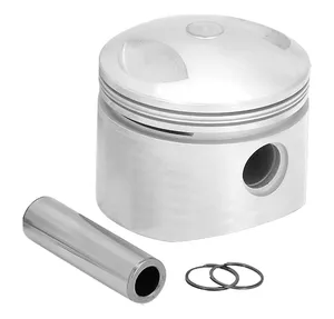 Zodiac (Genuine Zodiac Products) REPLACEMENT PISTONS