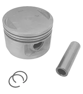 Zodiac (Genuine Zodiac Products) REPLACEMENT PISTONS