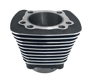 Zodiac (Genuine Zodiac Products) HIGH QUALITY REPLACEMENT CYLINDERS FOR EVOLUTION MODELS