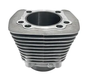 Zodiac (Genuine Zodiac Products) HIGH QUALITY REPLACEMENT CYLINDERS FOR EVOLUTION MODELS