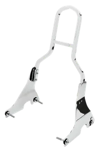 Zodiac (Genuine Zodiac Products) DETACHABLE MINI LOW BOY SISSY BARS