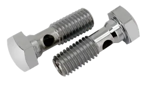Zodiac (Genuine Zodiac Products) CHROME BREATHER BOLTS
