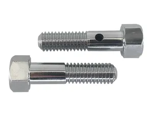 Zodiac (Genuine Zodiac Products) CHROME BREATHER BOLTS