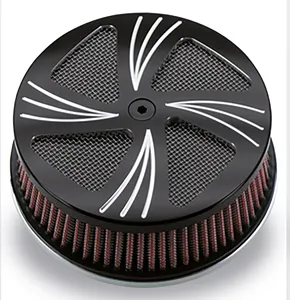 Zodiac (Genuine Zodiac Products) HP SERIES AIR CLEANERS